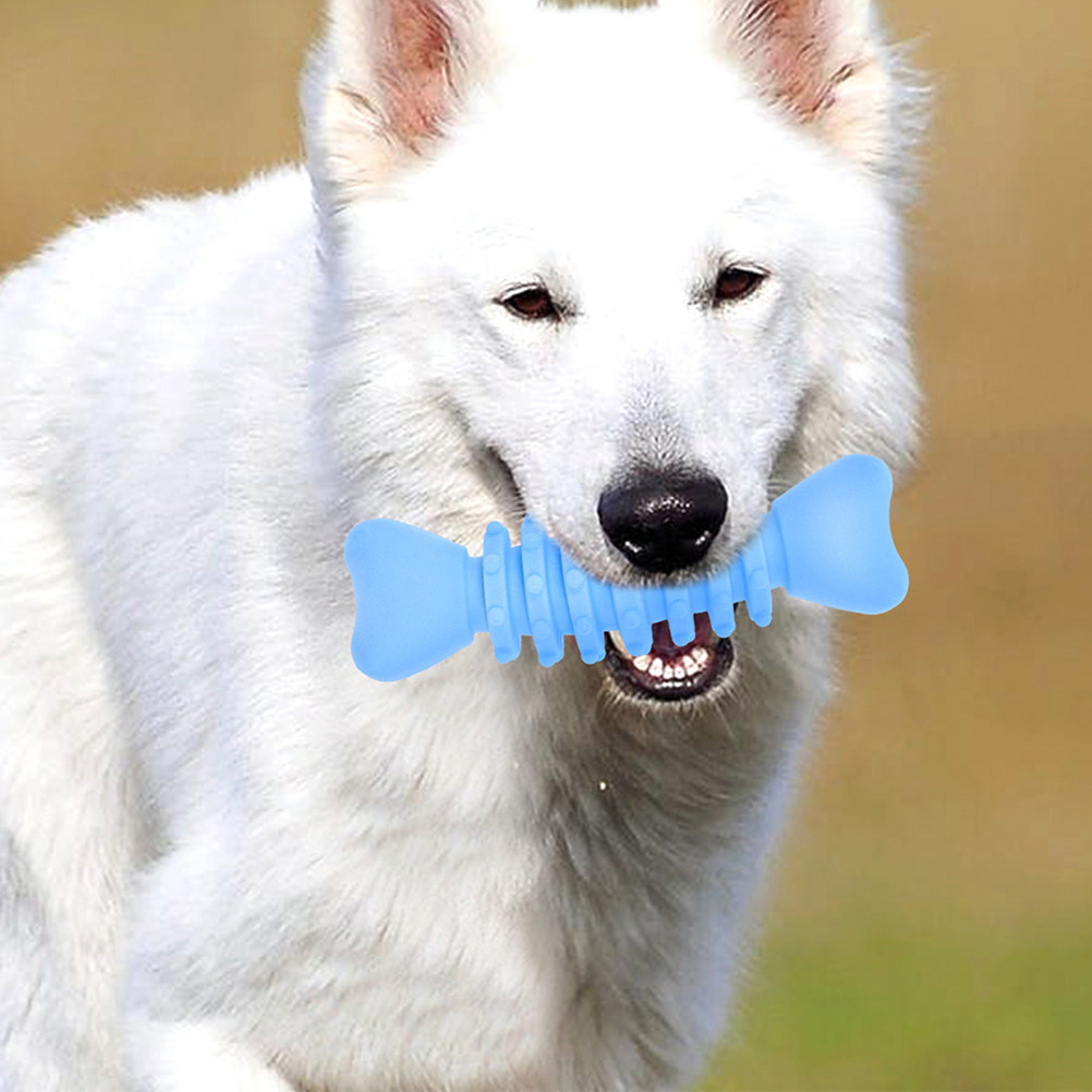 Teeth Cleaning Dog Chew Bone - 2 Pezzi Osso da Masticare per