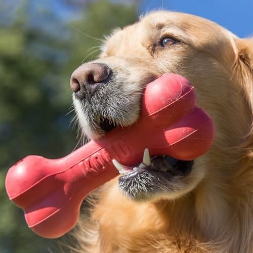 Rubber Treat Dispensing Dog Toy - Osso per Cani Classico e Resistente