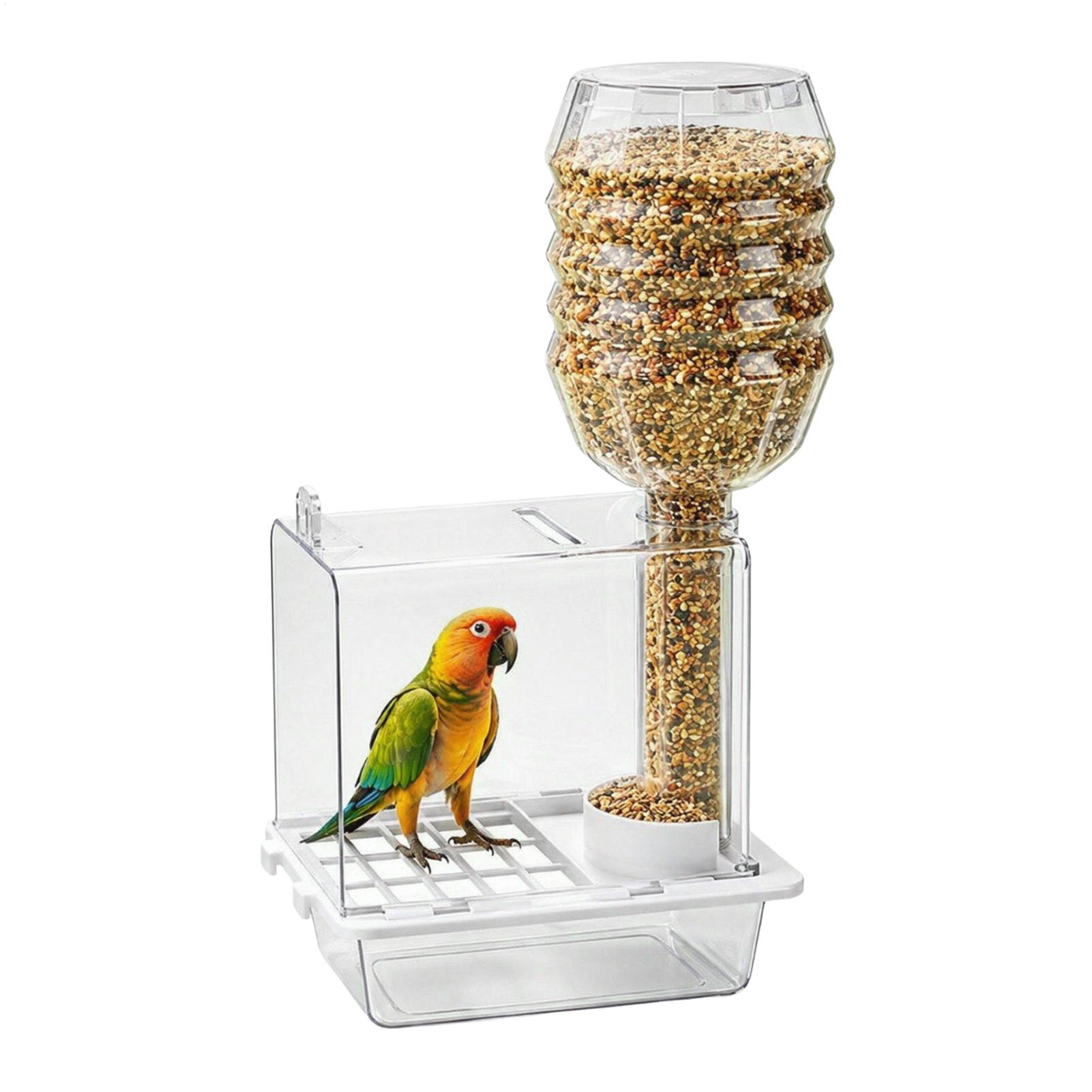 Pet Feeders - Mangiatoia automatica per uccelli, ideale per