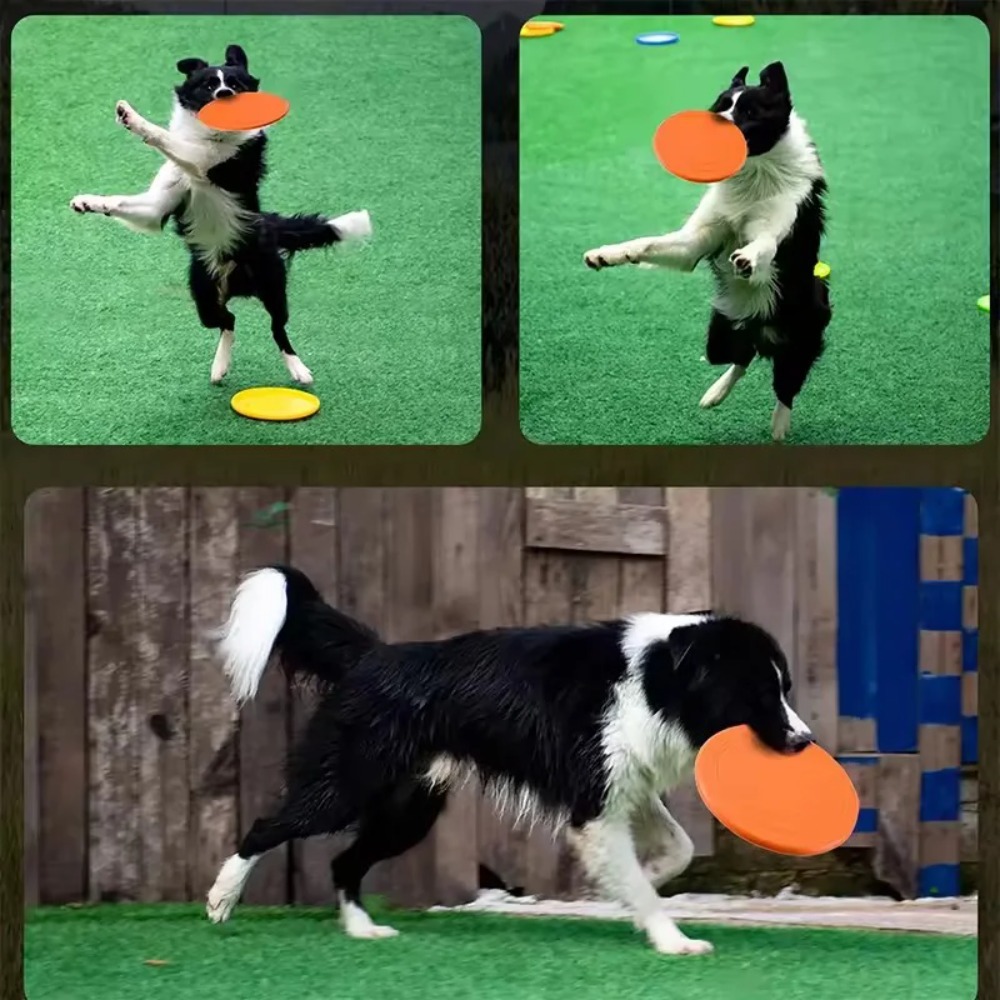 Disco Volante per Cani in TPR, - Flying Disc Dog Training Toy recensione e prezzo