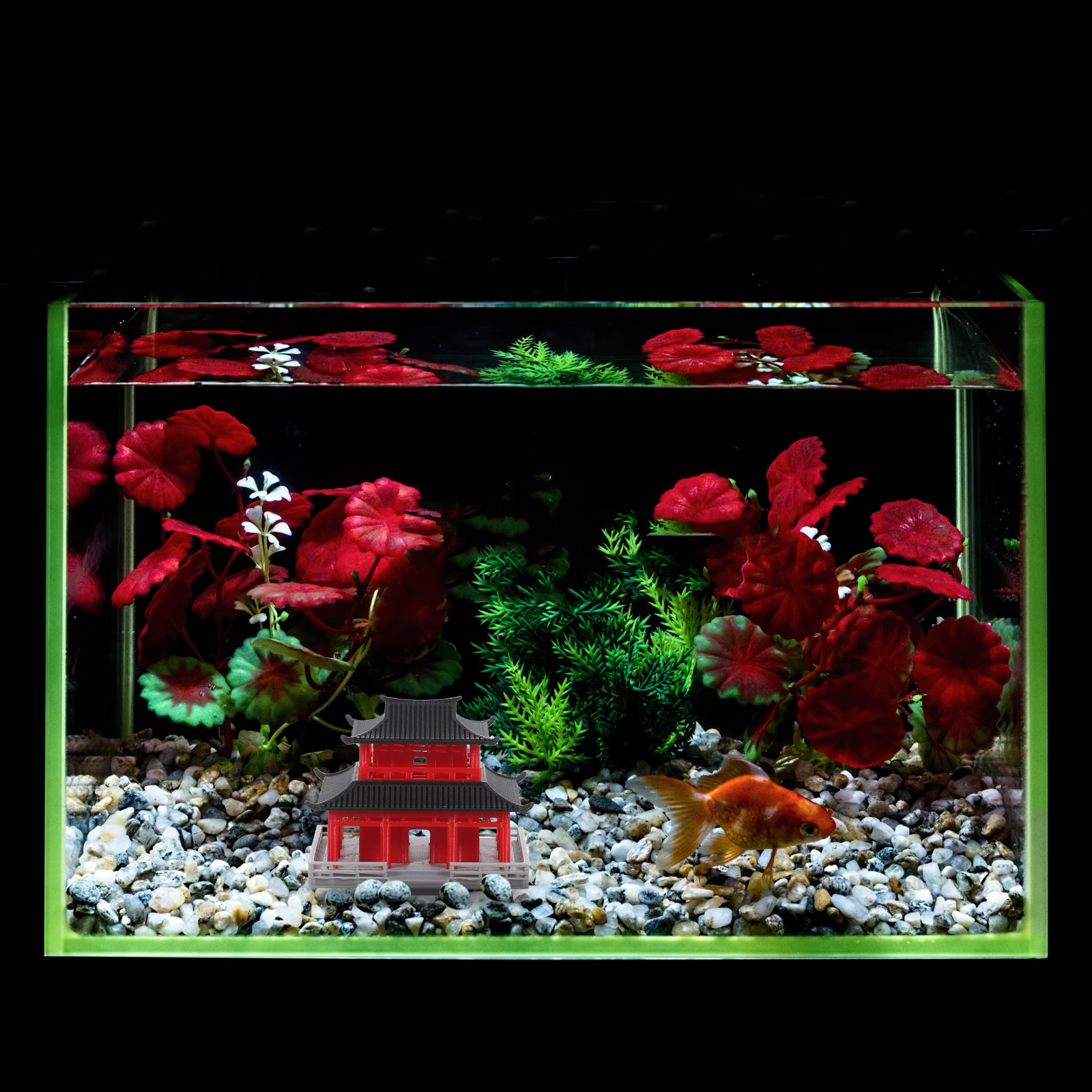 Pavillon Cinese Antico Nero Ro - Aquarium recensione e prezzo