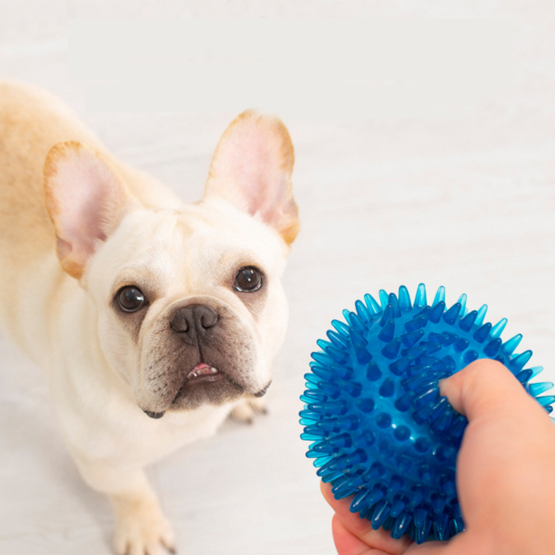 Bulldog francese ad alta elast - Interactive Squeaky Plush Dog Toy recensione e prezzo