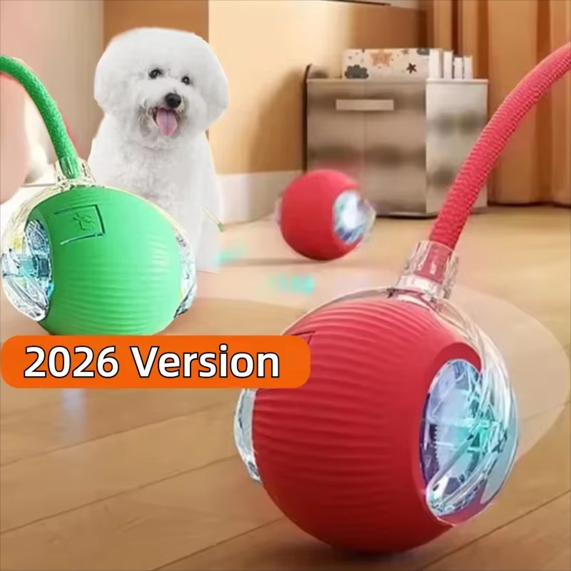 Nuova Palla Interattiva per Ca - Automatic Moving Dog Ball recensione e prezzo