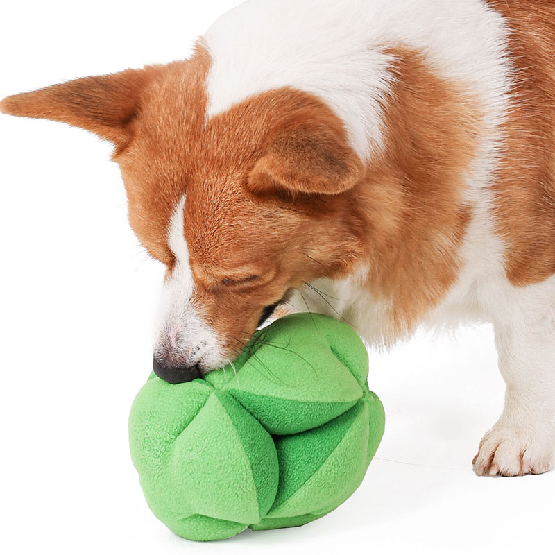 Giocattolo Puzzle per Cani a F - Dog Puzzle Feeder Toy recensione e prezzo