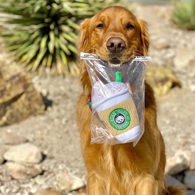 Giocattolo per Cani Anti-Grinc - Interactive Squeaky Plush Dog Toy recensione e prezzo