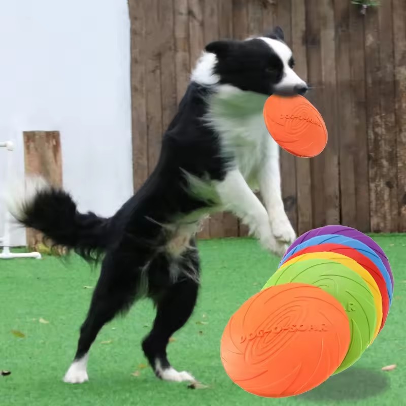 Giocattolo Interattivo a Forma - Flying Disc Dog Training Toy recensione e prezzo