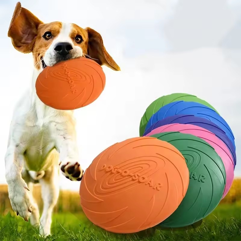 Giocattolo Interattivo a Forma - Flying Disc Dog Training Toy recensione e prezzo