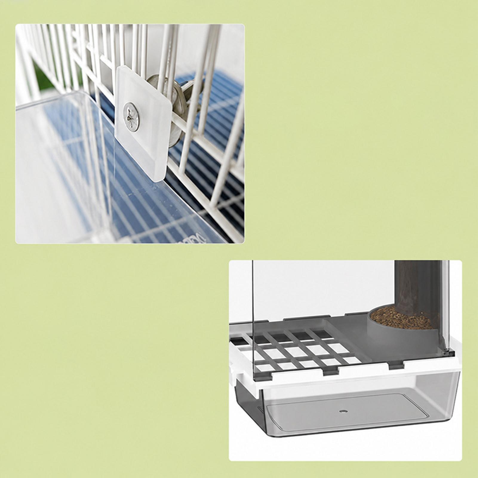 Mangiatoia automatica per ucce - Pet Feeders recensione e prezzo