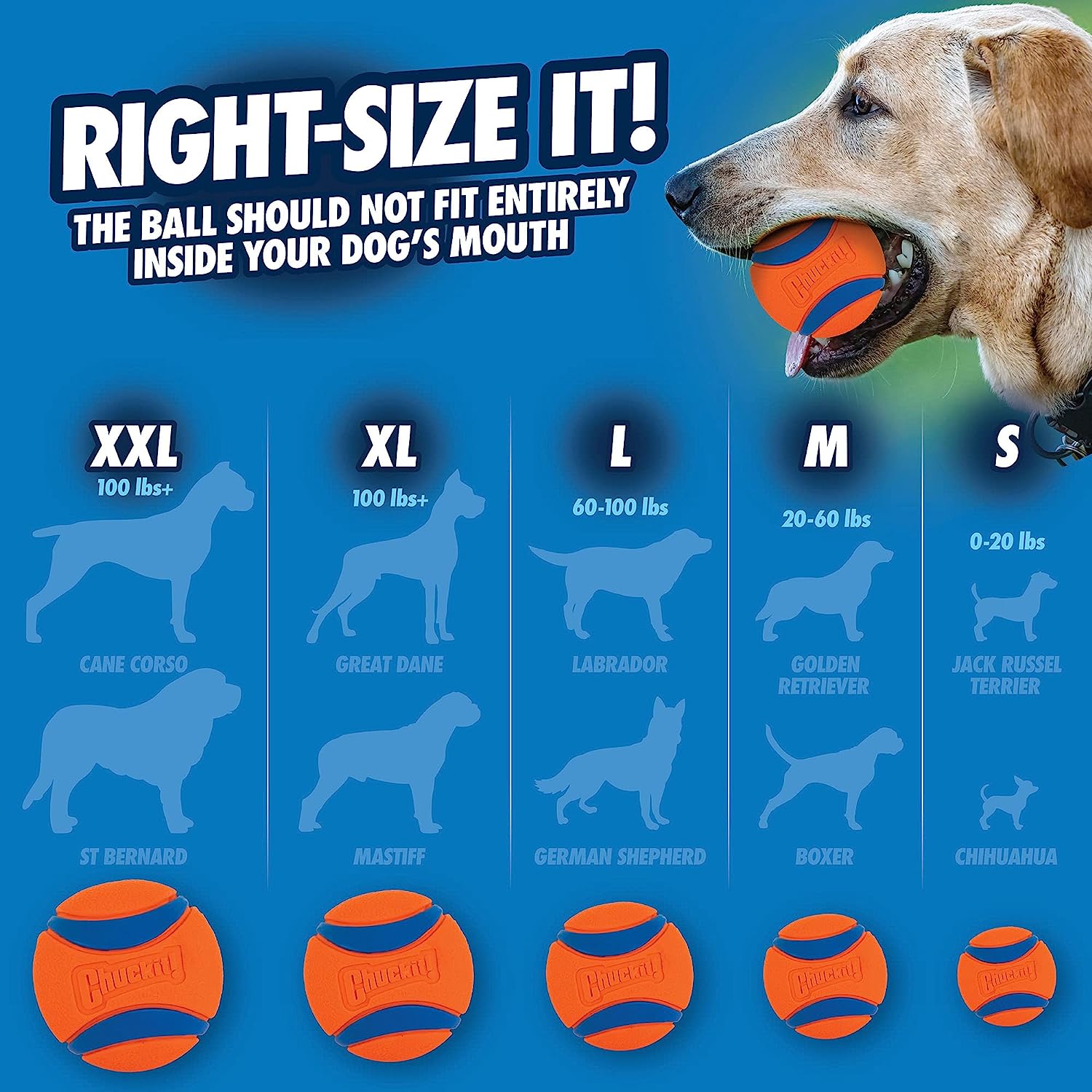 Giocattolo per cani Chuckit Ul - Indestructible Dog Chew Toy recensione e prezzo
