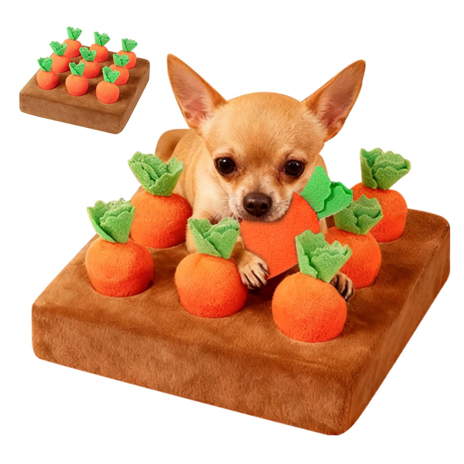 Giocattoli interattivi a forma - Snuffle Mat For Dogs recensione e prezzo