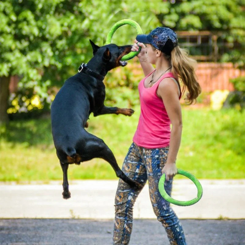 Giocattoli per cani dischi vol - Indestructible Dog Chew Toy recensione e prezzo