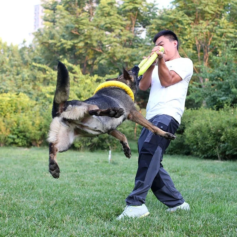 Giocattoli per cani dischi vol - Indestructible Dog Chew Toy recensione e prezzo