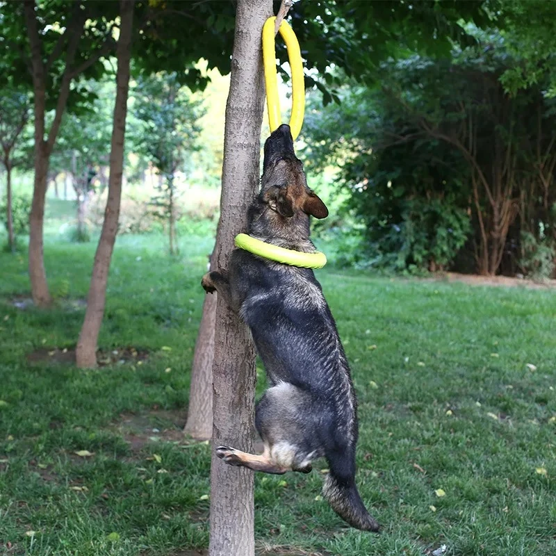 Giocattoli per cani dischi vol - Indestructible Dog Chew Toy recensione e prezzo