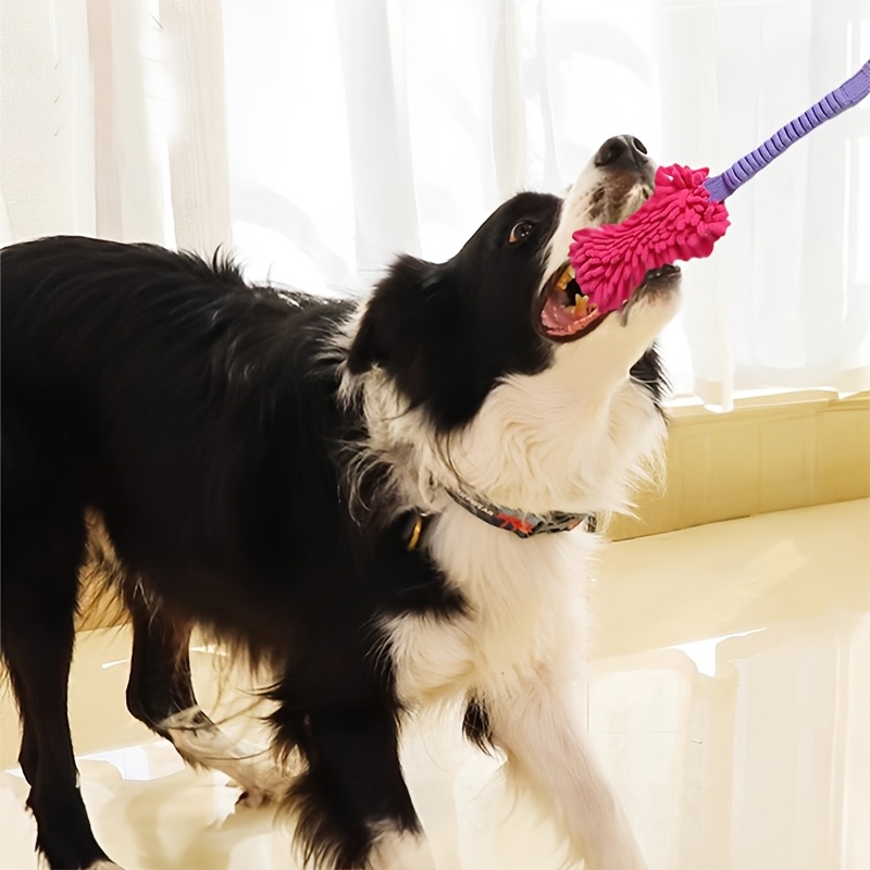 Giocattoli durevoli per cani d - Dog Rope Toy Aggressive Chewers recensione e prezzo