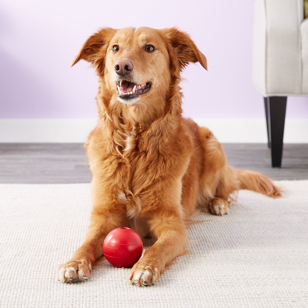 Giocattolo per cani KONG Ball  - Indestructible Dog Chew Toy recensione e prezzo