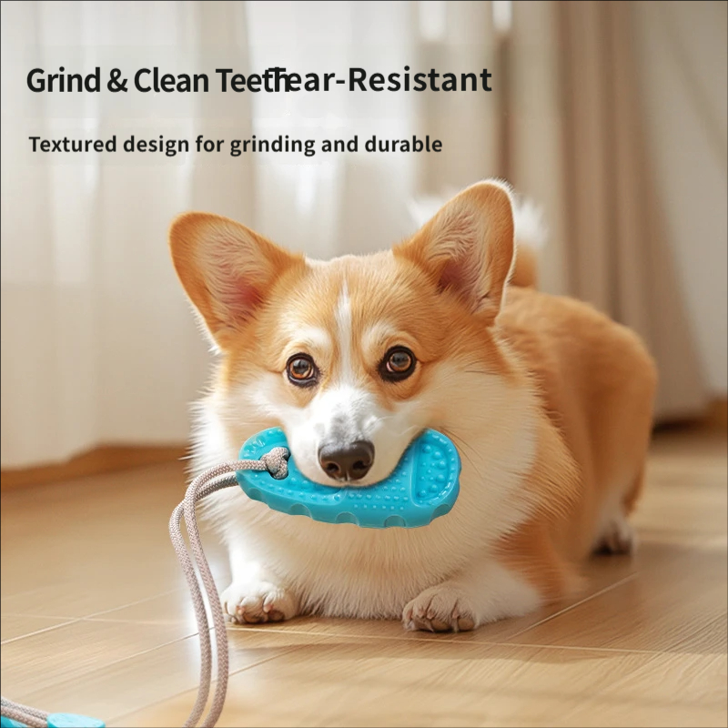 Giocattolo per Cani con Ventos - Suction Cup Dog Tug Toy recensione e prezzo