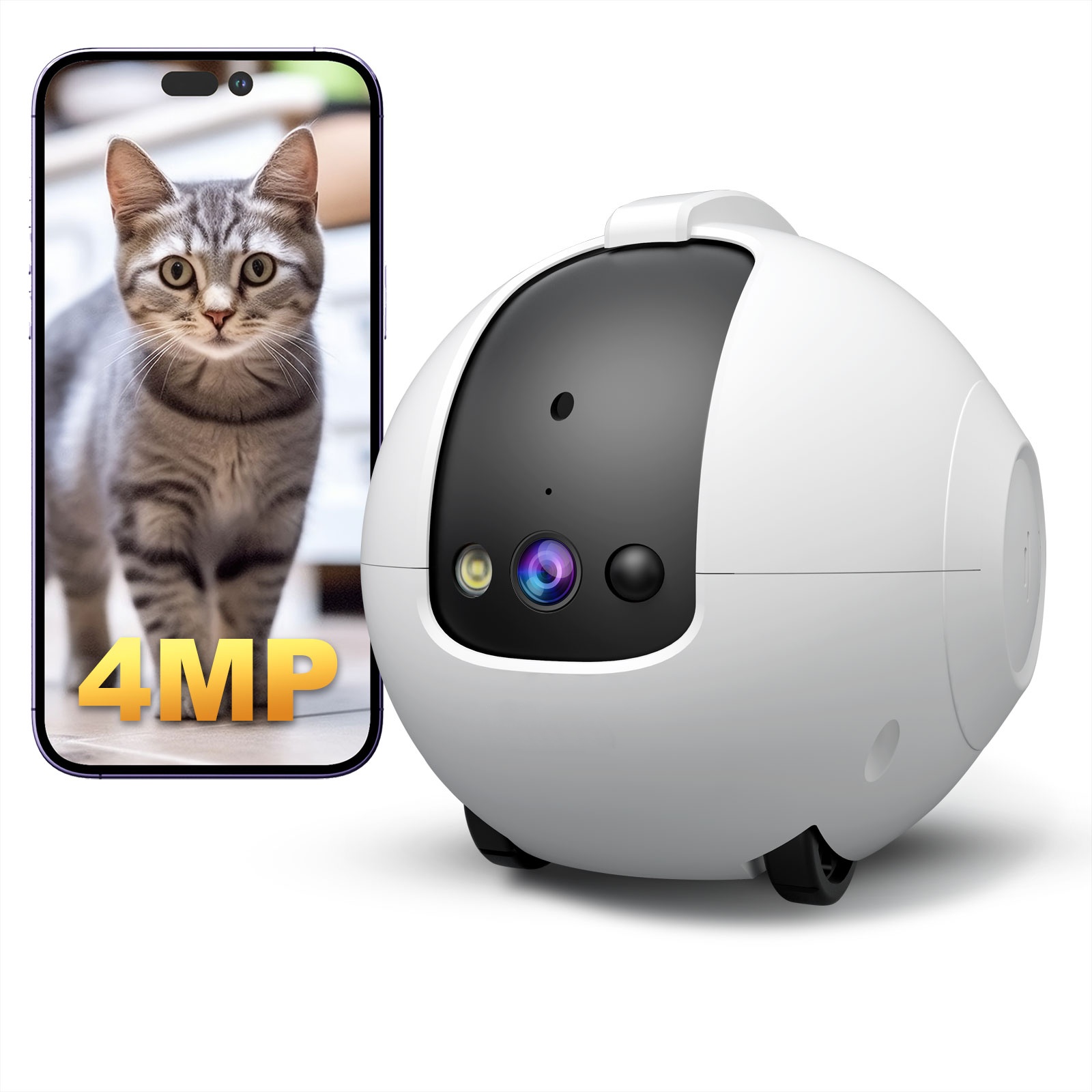 Telecamera robot per animali d - Cat Toys recensione e prezzo