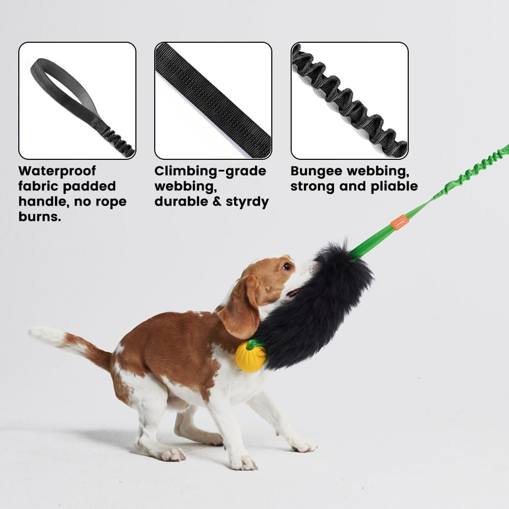 Giocattolo interattivo con cor - Indestructible Dog Chew Toy recensione e prezzo