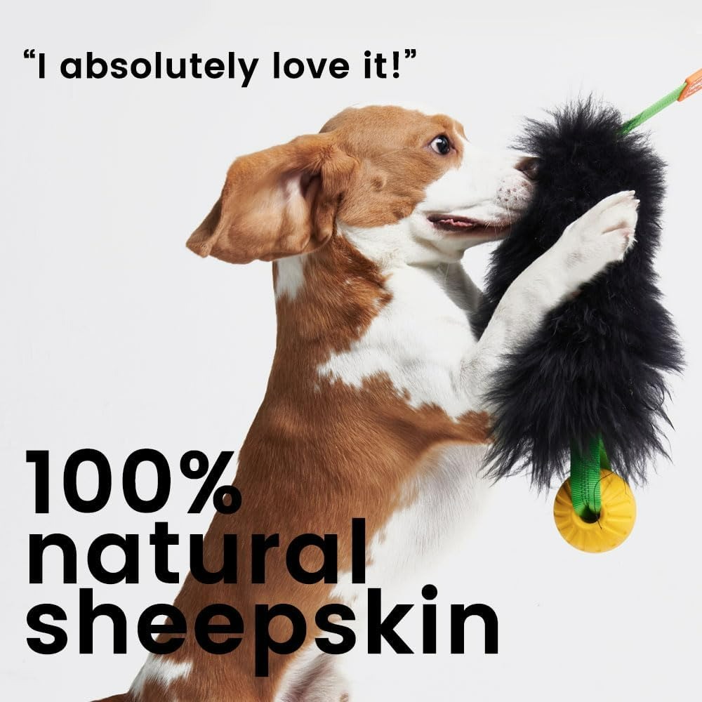 Giocattolo interattivo con cor - Indestructible Dog Chew Toy recensione e prezzo